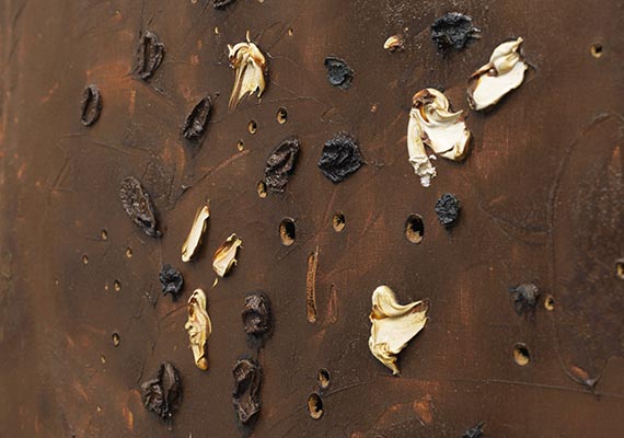 Lucio Fontana - Concetto Spaziale - 