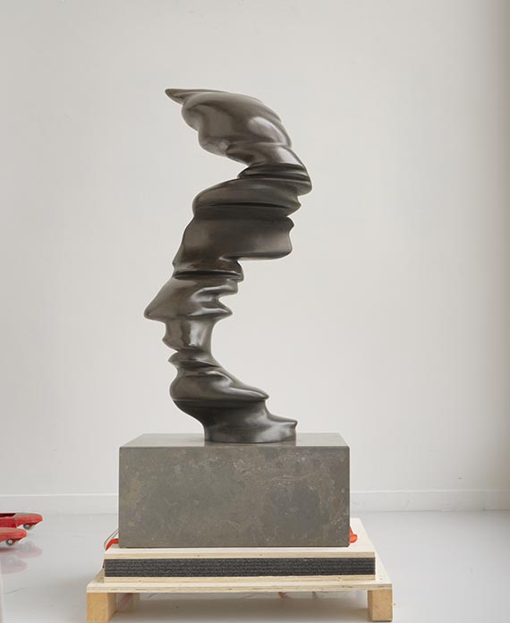 Tony Cragg - Line of Thought - Back side
