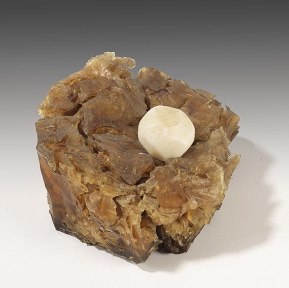 Joseph Beuys - Aktion: Kinloch Rannoch Edinburgh - 