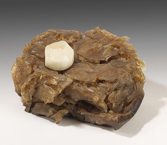 Joseph Beuys - Aktion: Kinloch Rannoch Edinburgh - 