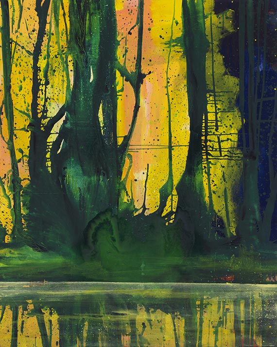 Bernd Zimmer - Reflexion. Mücken