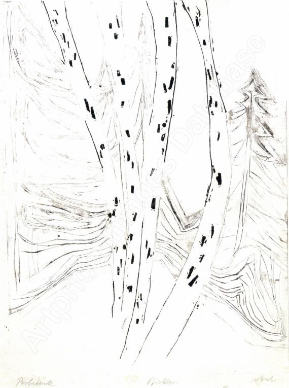 ROLF NESCHBirken (aus: Schnee)...