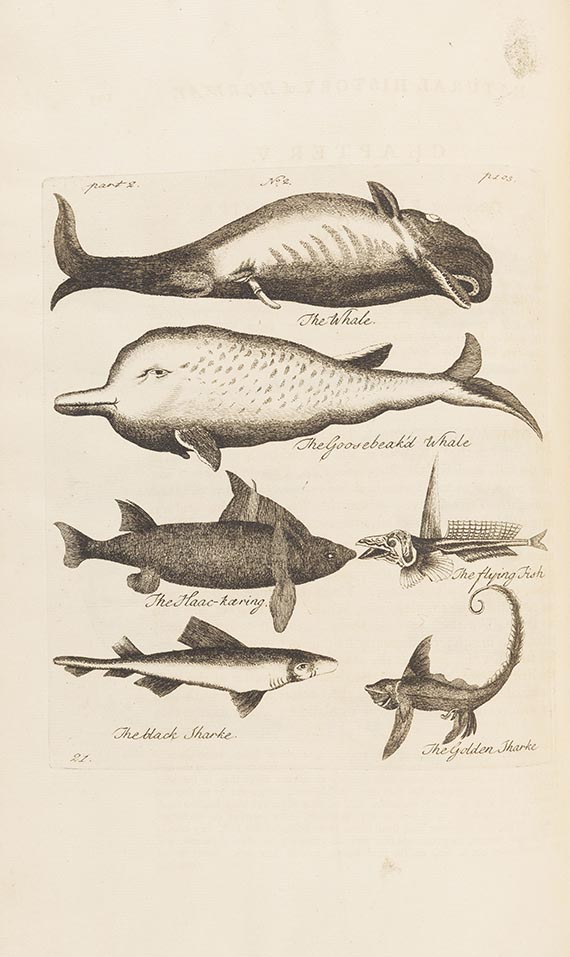 Erich Pontoppidan - The natural history of Norway - 