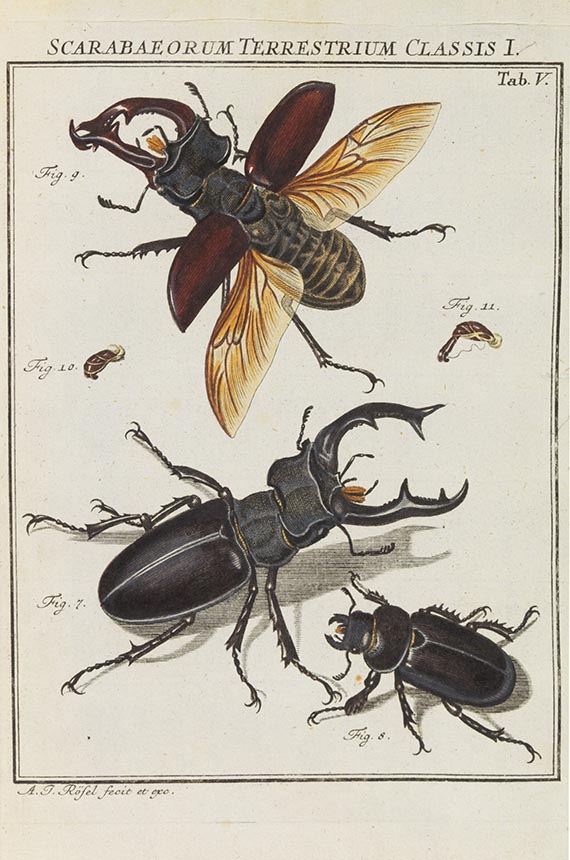 August Johann Rösel von Rosenhof - Der monatlich-herausgegebenen Insecten-Belustigung - 