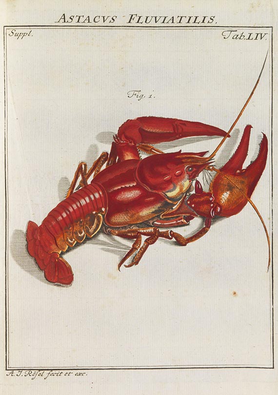 August Johann Rösel von Rosenhof - Der monatlich-herausgegebenen Insecten-Belustigung - 