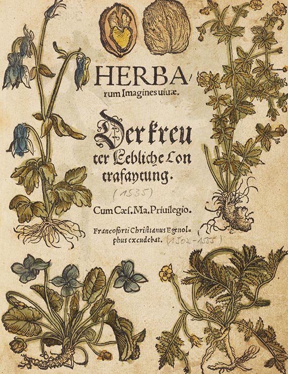 Otto Brunfels - Kreüterbuch contrafayt. - Angebunden: Herbarum imagines vivae (Egenolff 1535)