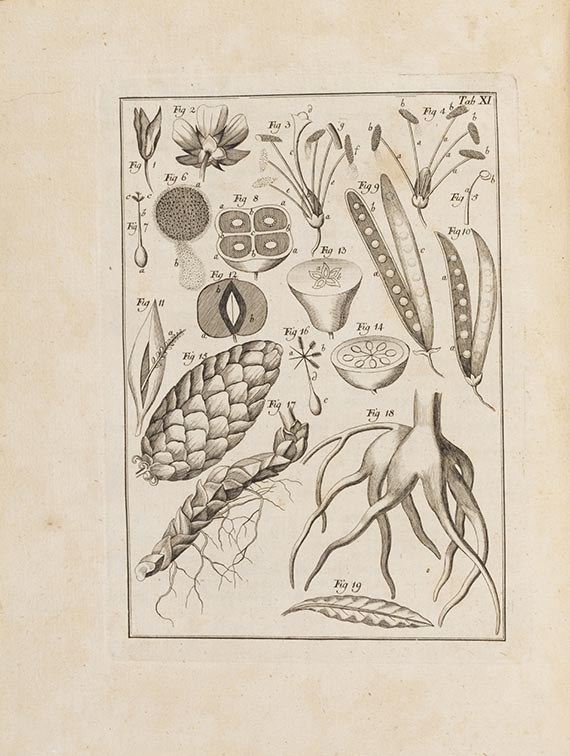 Franz Hermann Heinrich Lueder - Botanischepraktische Lustgärtnerey