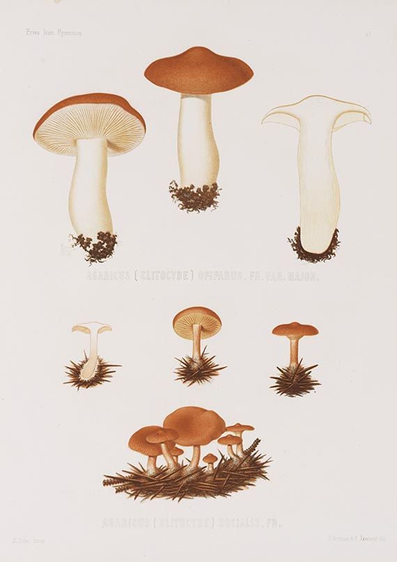 Elias Magnus Fries - Icones selectae Hymenomycetum nondum delineatorum. 2 Bde. in 18 Lieferungen