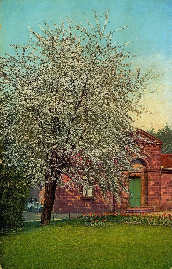 Illustration  for: Gatehouse at the Great Garden of Dresden, before 1945, postcard, Koch & Bitriol, photo: unknown.