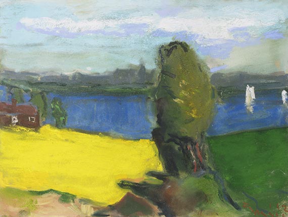 Klaus Fußmann - Raps an der Schlei